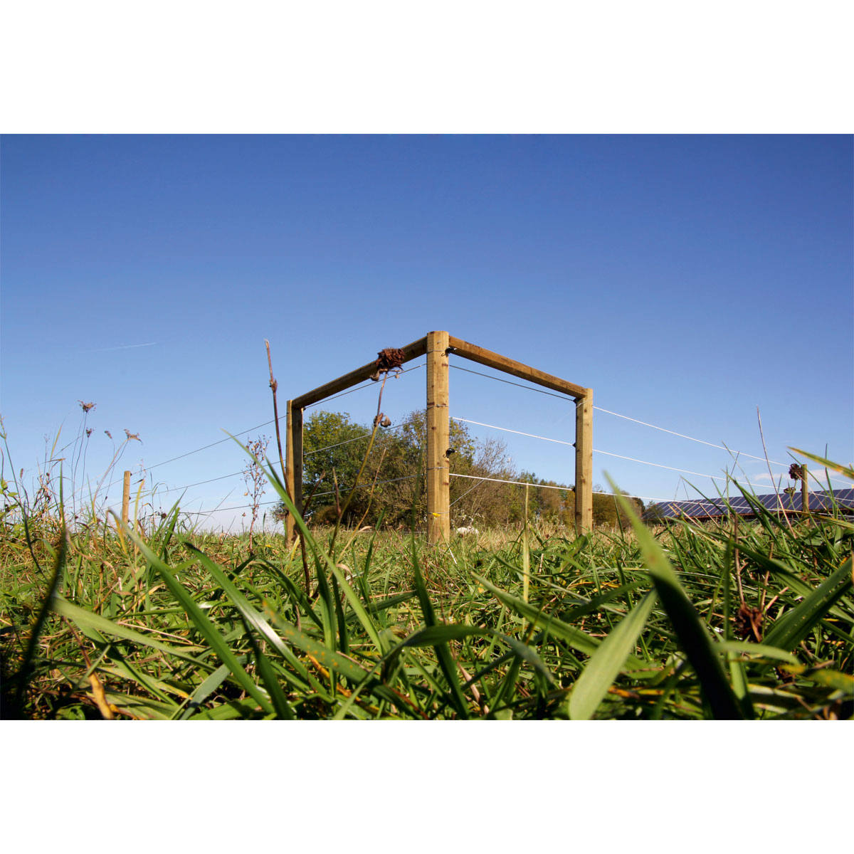 Stahldraht Premium Horse Wire 250 m Bild 12