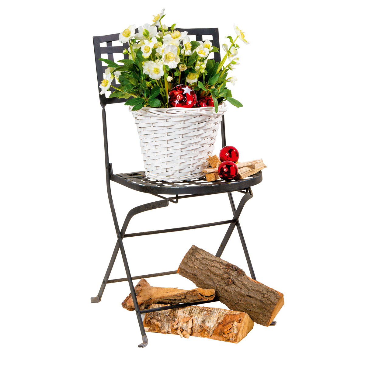 Plantiflor  Christrose Topf Durchmesser 15 cm Bild 4