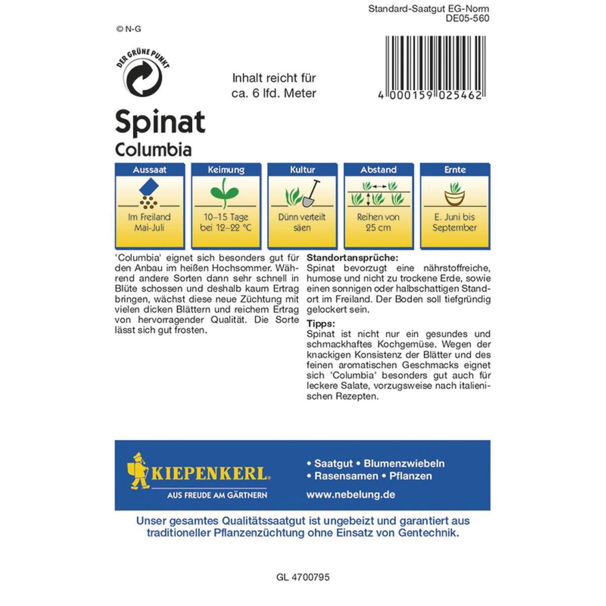 Kiepenkerl Spinat Columbia F1 Profi-Line Bild 2