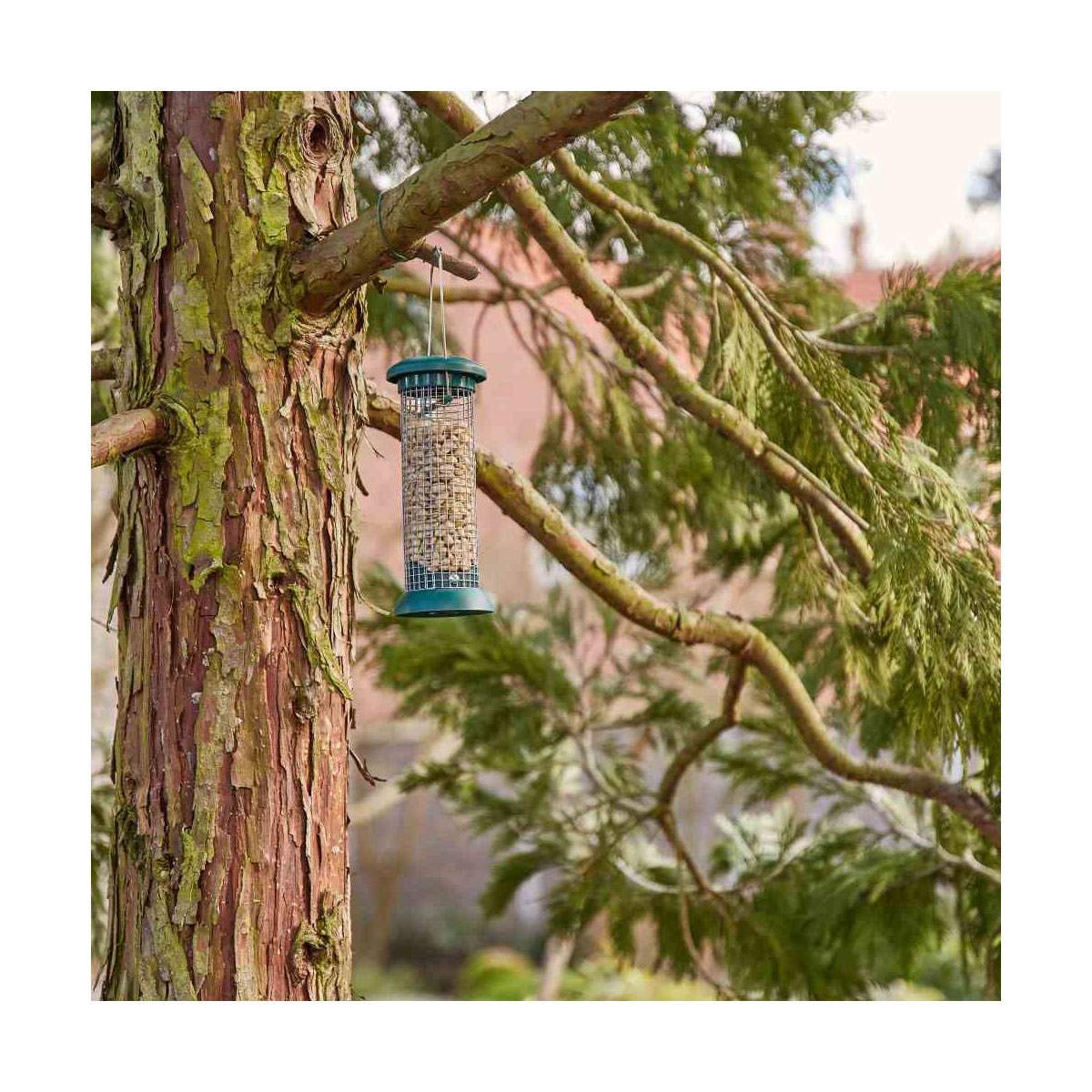 Siena Garden Vogelfuttersäule Premium Line für Nüsse 24 cm Bild 3