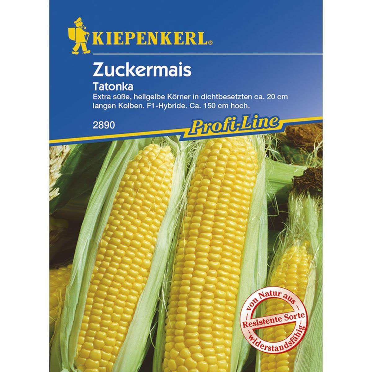 Kiepenkerl Zuckermais Tatonka Bild 1