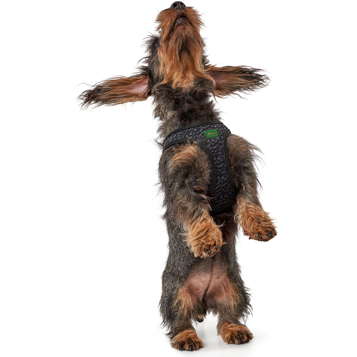 Hunter  Geschirr Hilo Soft Comfort grau M Bild 4