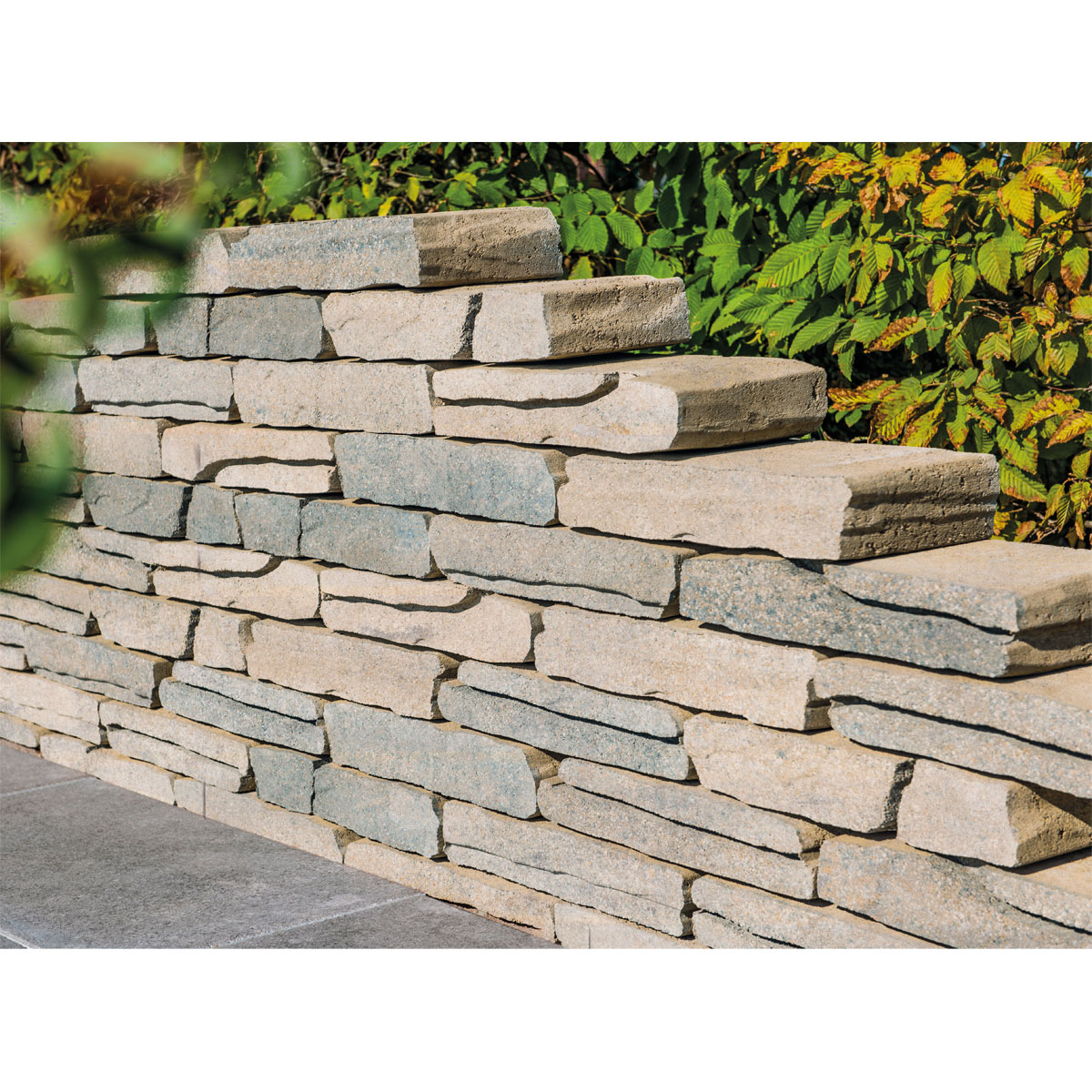 Diephaus Mauer Vived 40/18/8 cm Muschelkalk