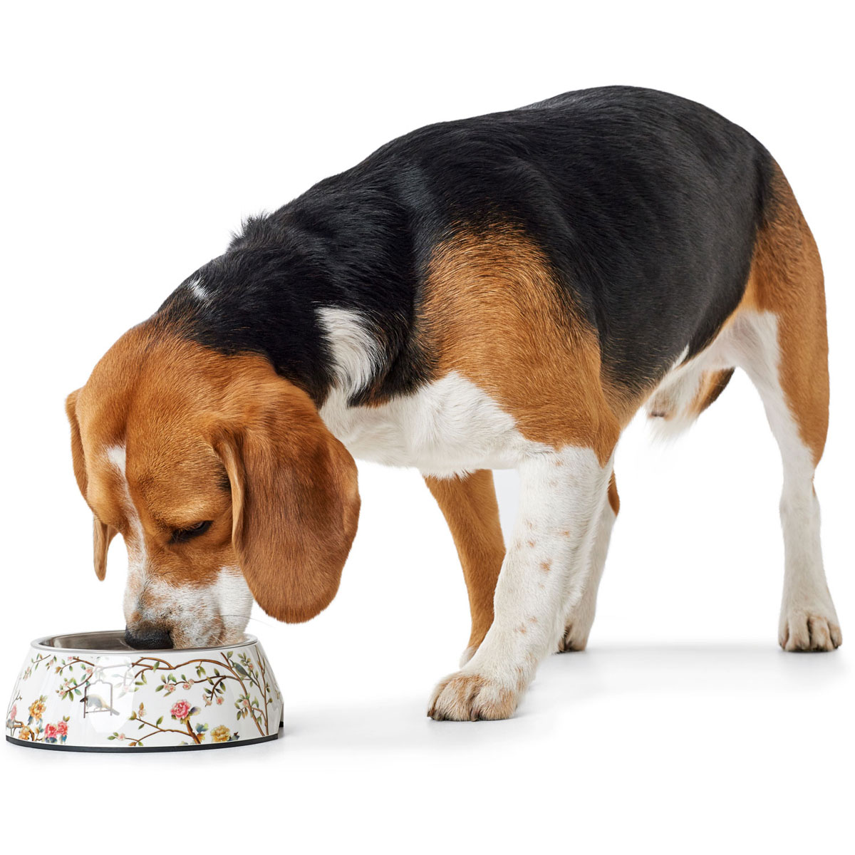 Hunter Melamin-Napf Mogami mehrfarbig 350 ml Bild 3