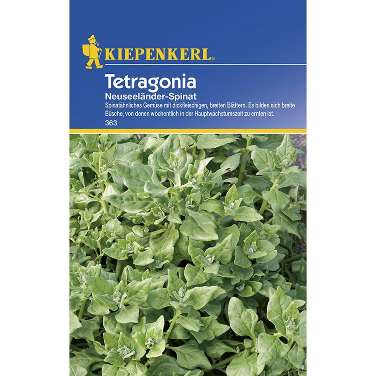 Kiepenkerl Tetragonia Neuseeländer Spinat