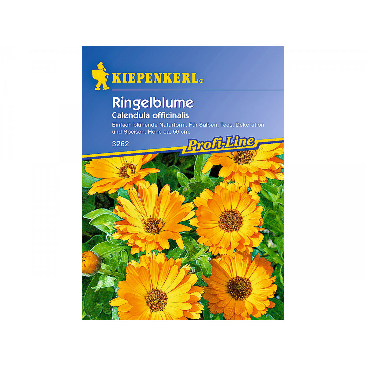 Kiepenkerl Ringelblumen für Tee und Salben Profi-Line Bild 2