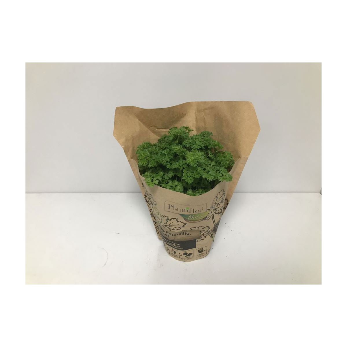 Plantiflor Bio-Petersilie kraus T12