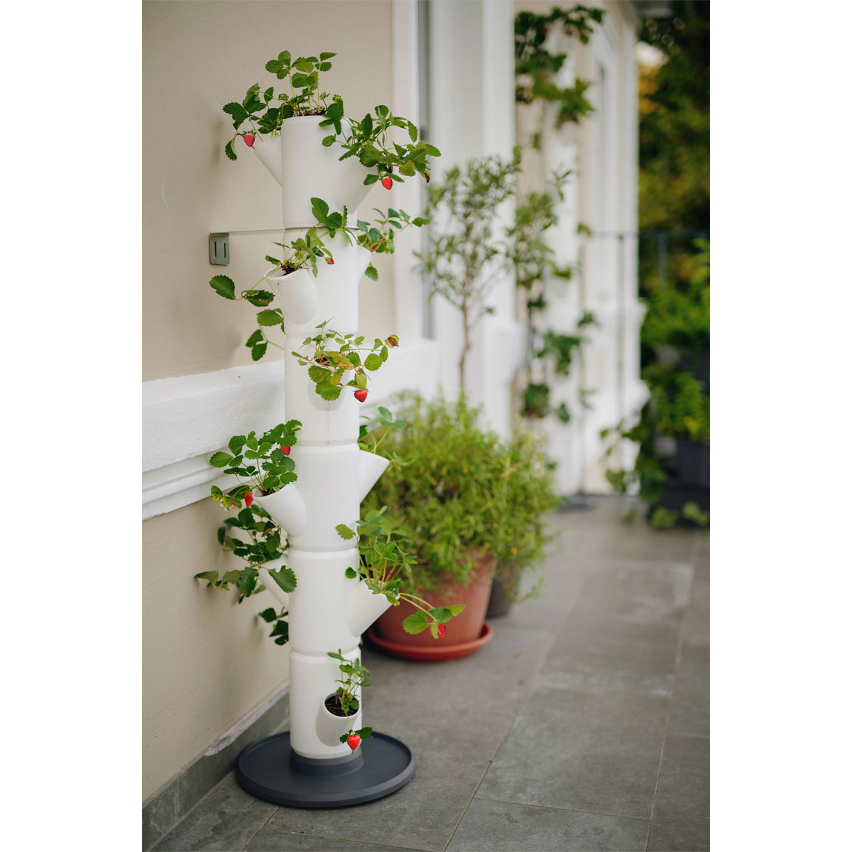 Erdbeerturm Sissi Strawberry Classic weiß