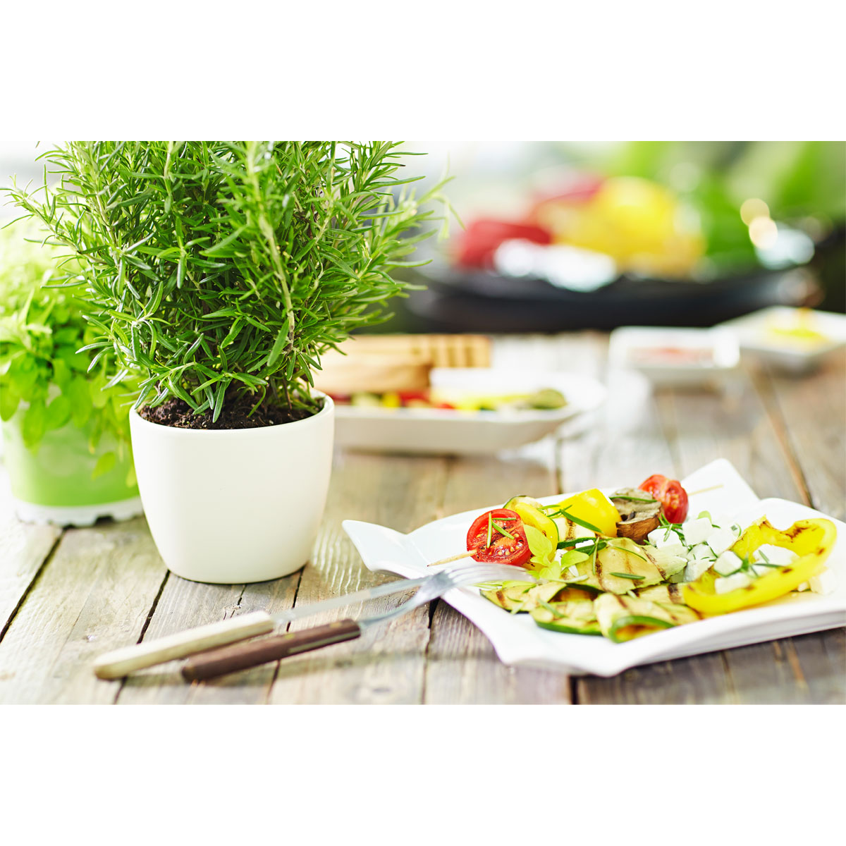 Plantiflor  Gourmetkräuter Rosmarin Topf Durchmesser 12 cm Bild 2