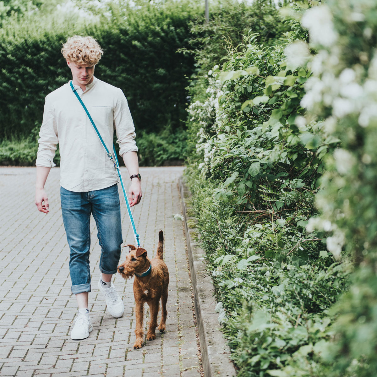 Hunter Führleine Hilo türkis 200 x 2 cm Bild 3