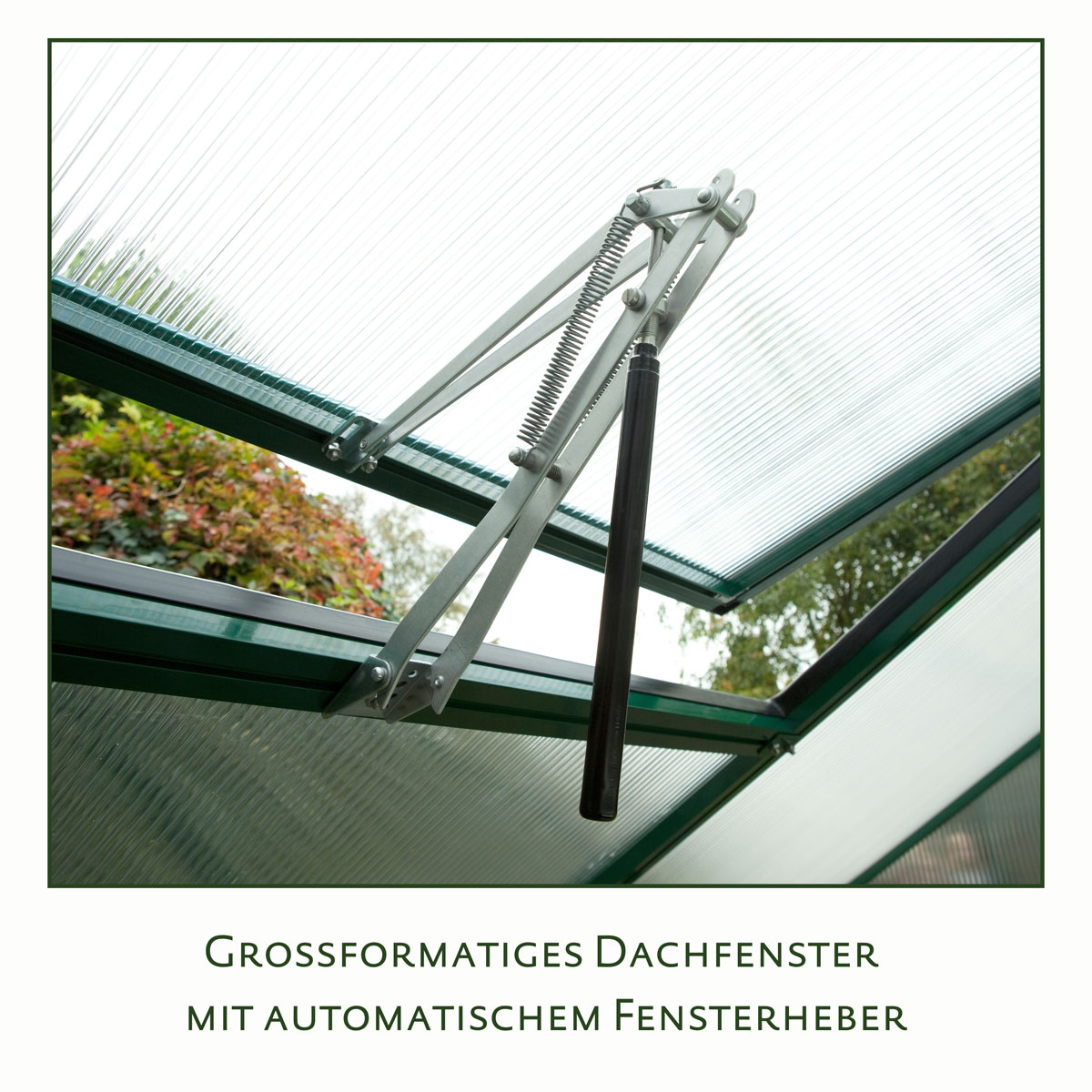 KGT Gewächshaus Rose II 5m² schwarz Bild 5