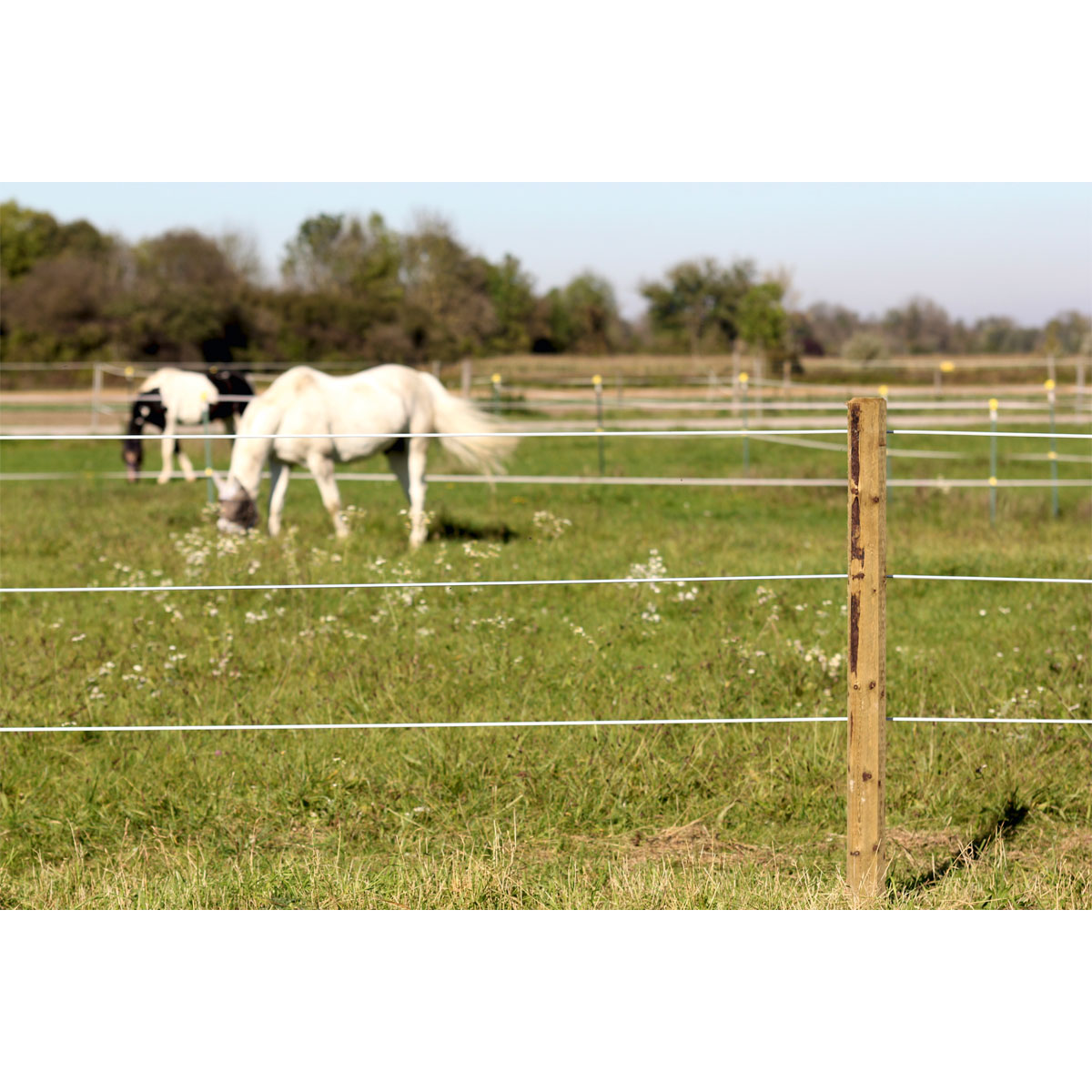 Weidezaun Top Line Horewire 200 m weiß Bild 11