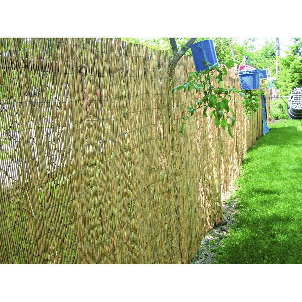 Hartmann  Schilfrohrmatte Malaga 180 x 600 cm Bild 2