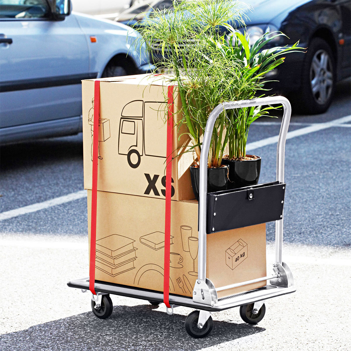 Meister Transportwagen XL Bild 2