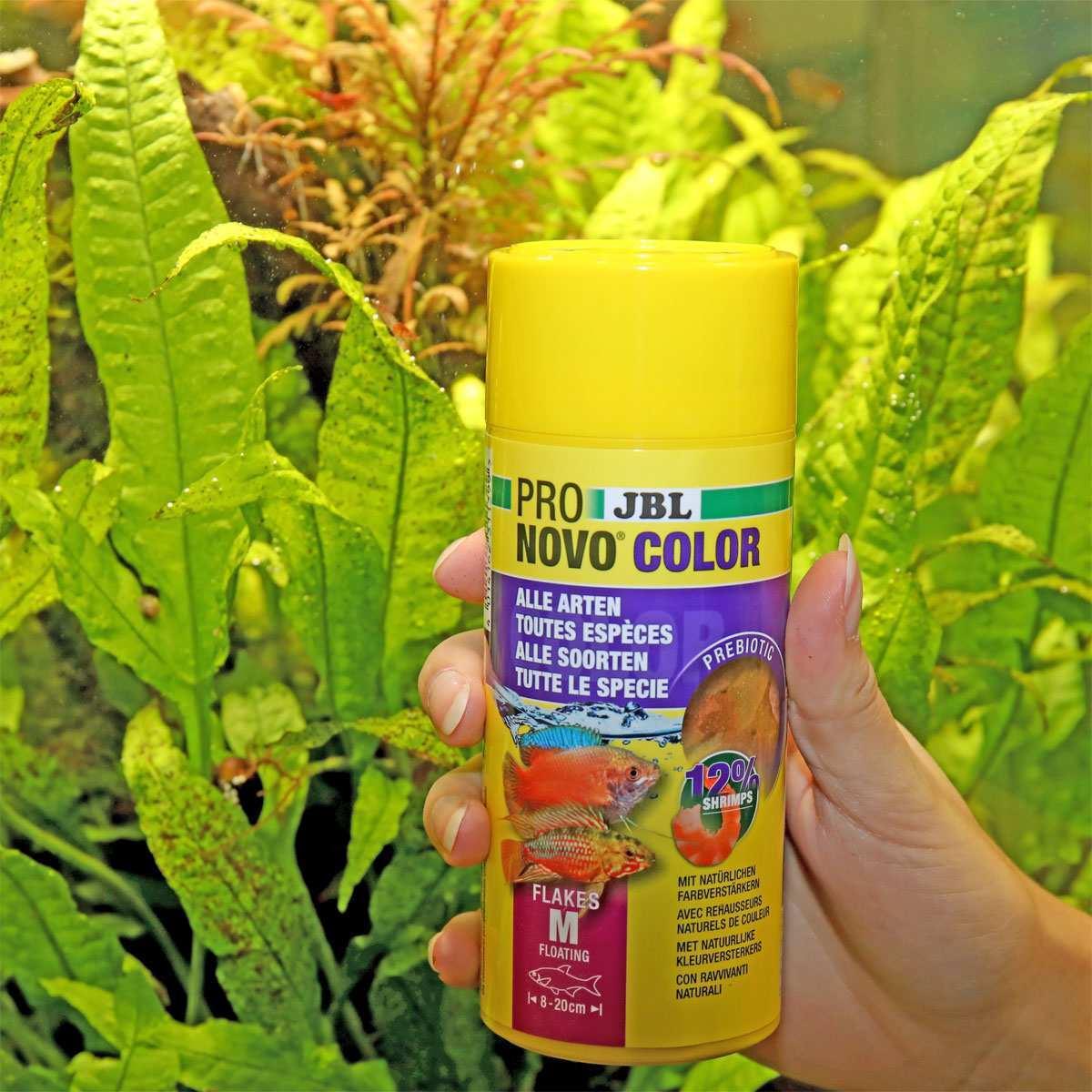JBL  PRONOVO COLOR FLAKES M 250ml Bild 3