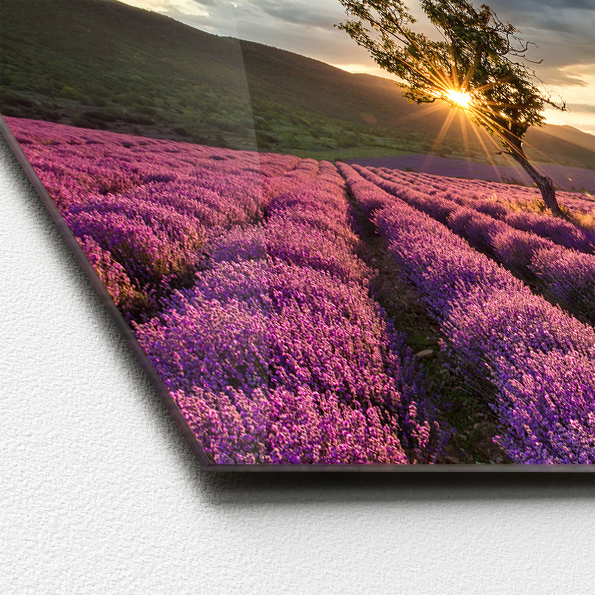 Glas-Art Silence 50 x 125 cm Glasbild Bild 2