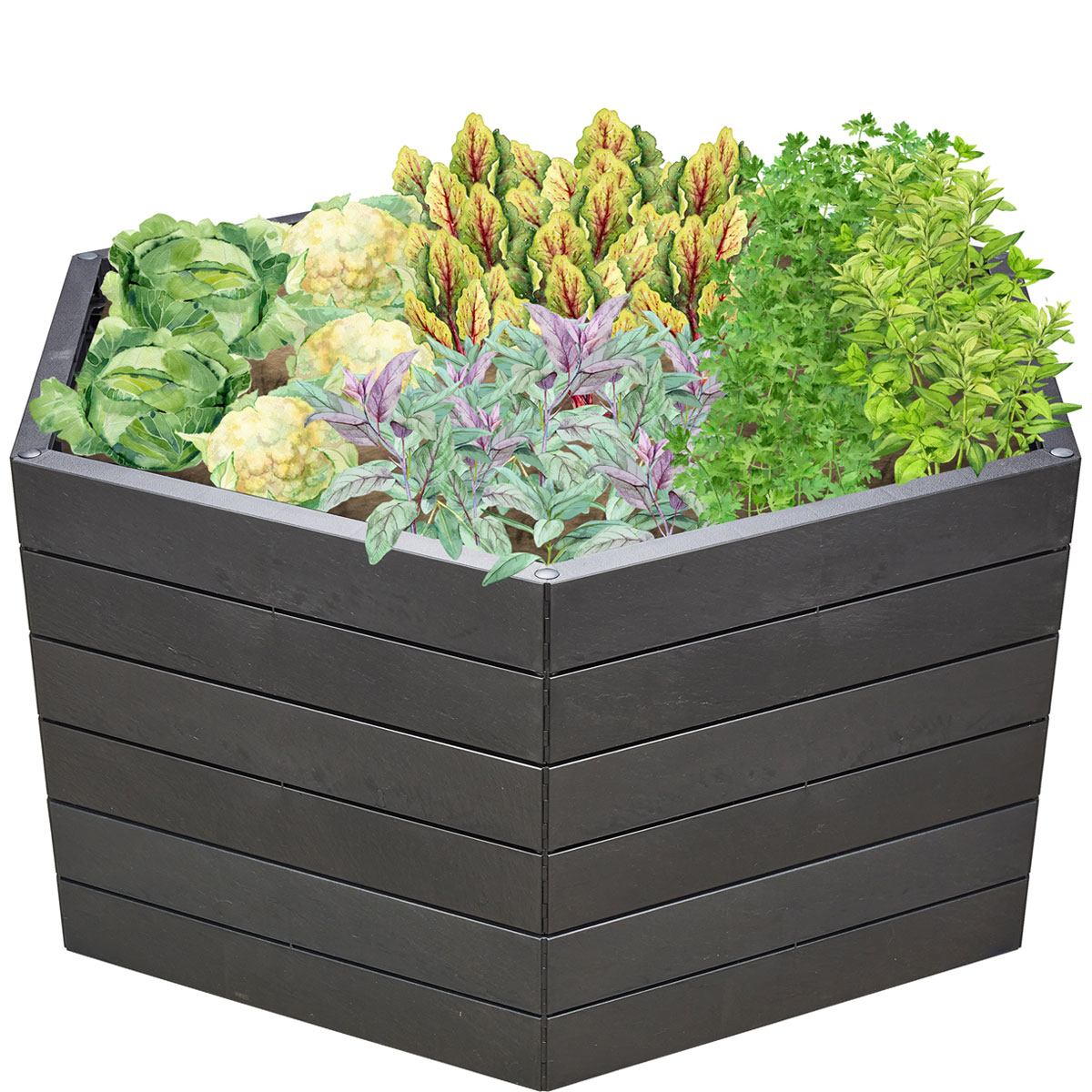 Garantia Hochbeet ERGO XL 75 Stone inkl FLORA