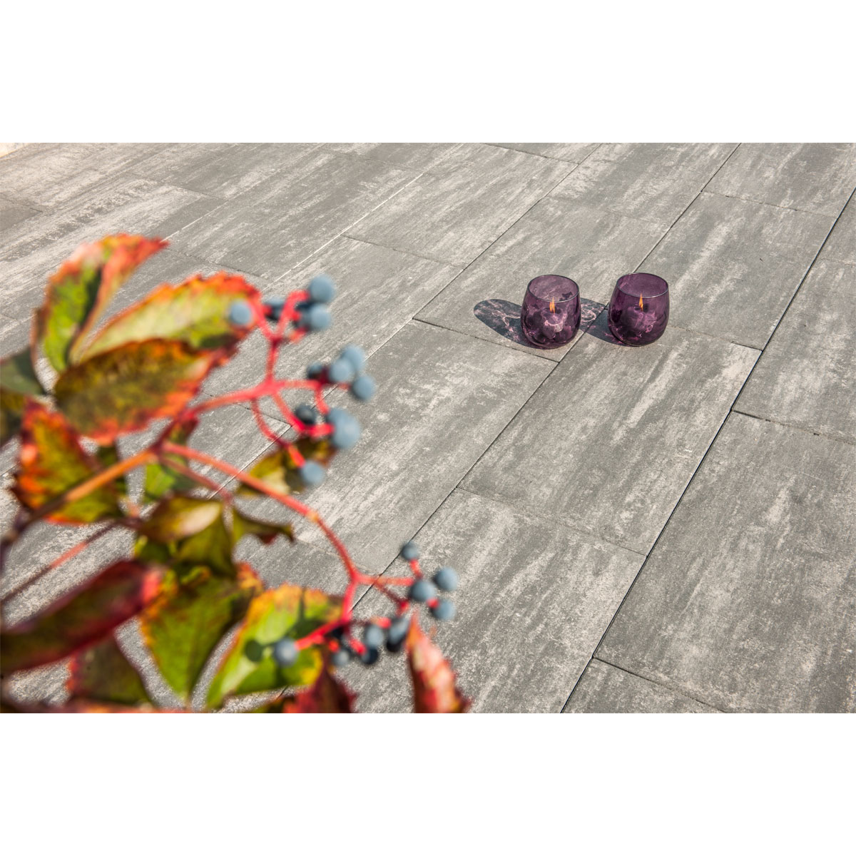 Diephaus Terrassenplatte No 1 Parasol Quarzit 80 x 40 x 5 cm
