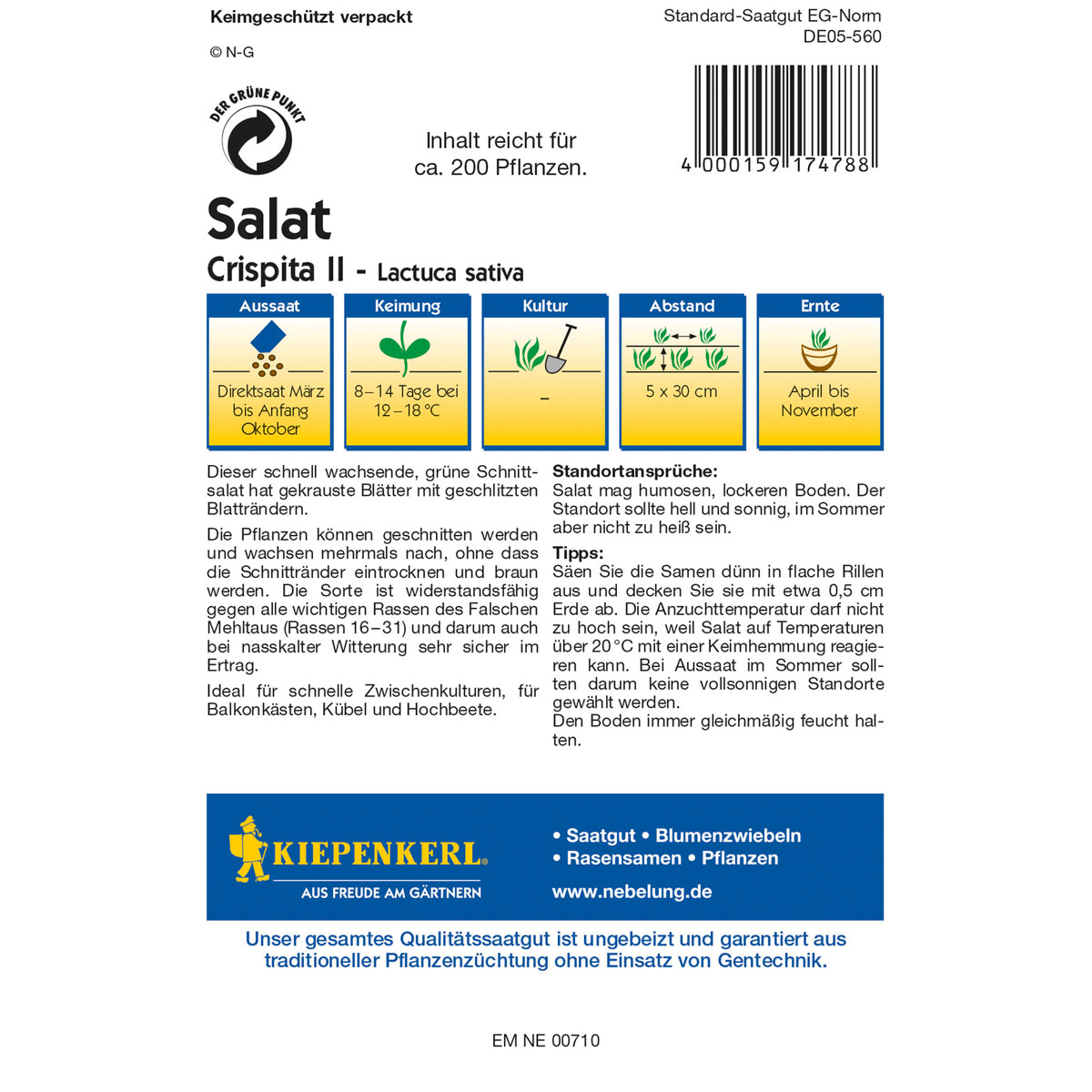 Kiepenkerl Salat Crispita II Bild 2