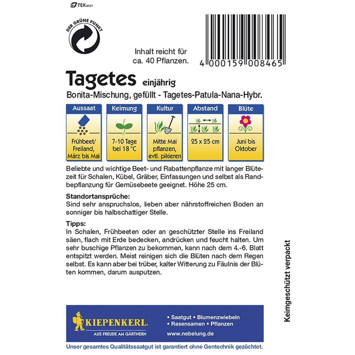 Kiepenkerl Tagetes Bonita-Mischung Bild 2