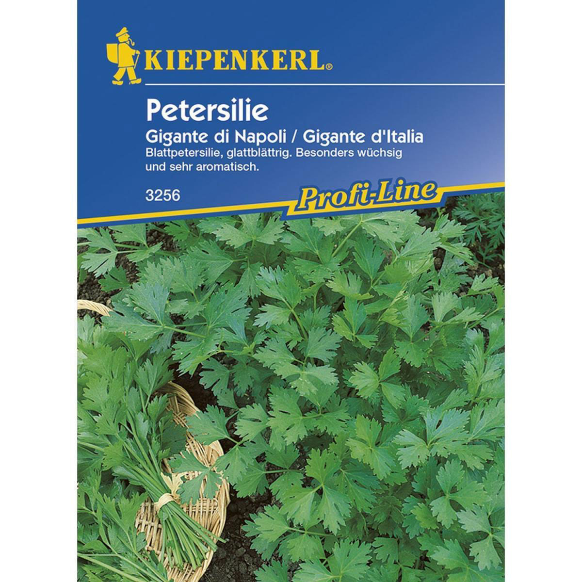 Kiepenkerl Petersilie Gigante di Napoli Profi-Line