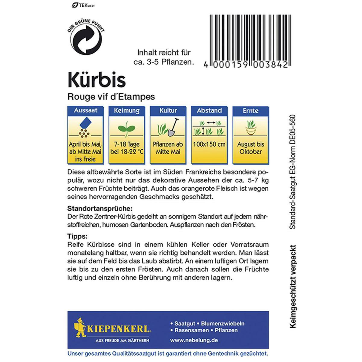 Kiepenkerl Kürbis Rouge vif dEtampes Bild 2