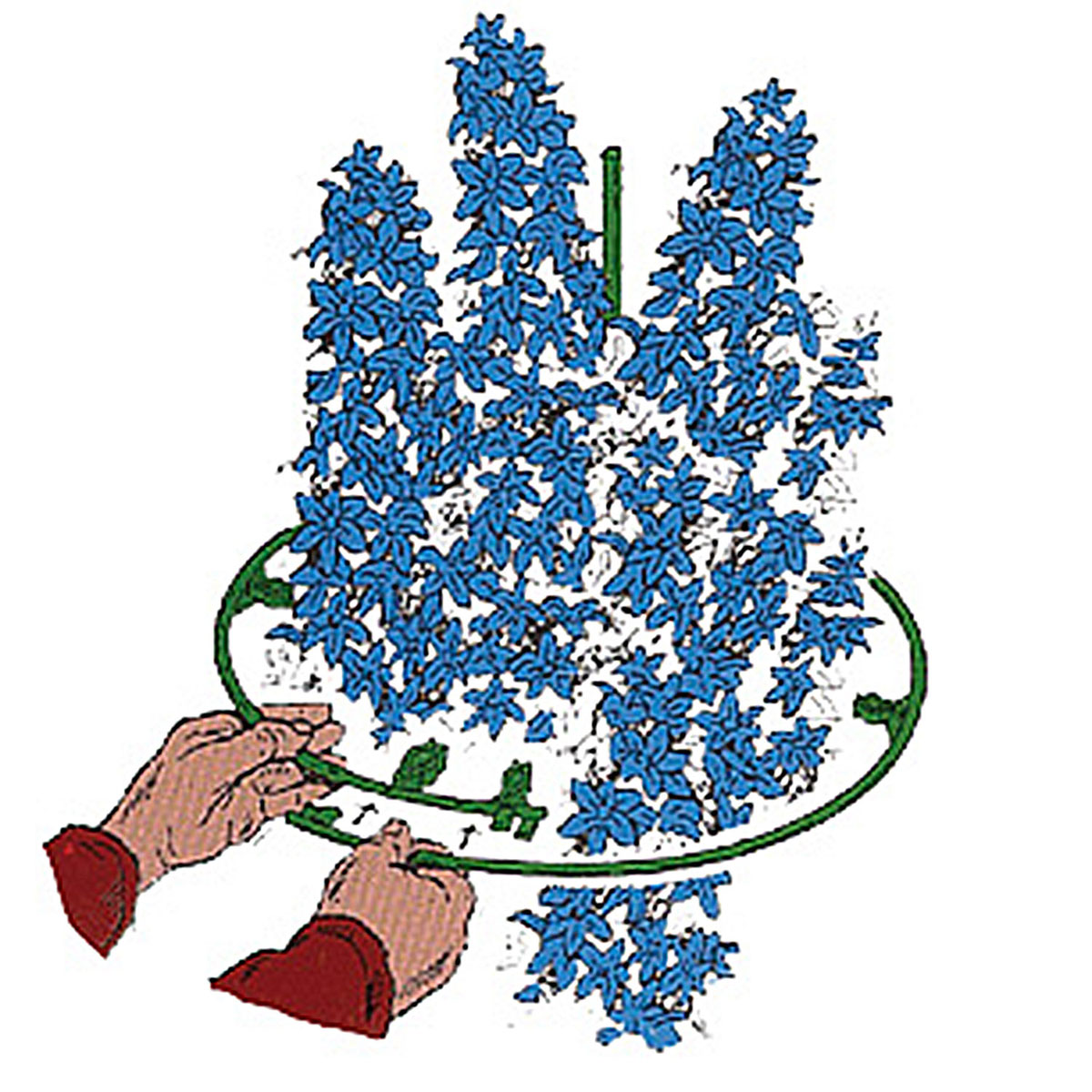 Pflanzenstütze verstellbar 35 - 50 cm