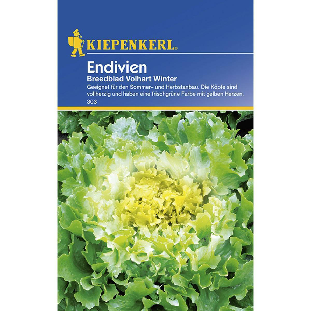 Kiepenkerl Endivien Breedblad Volhart Winter