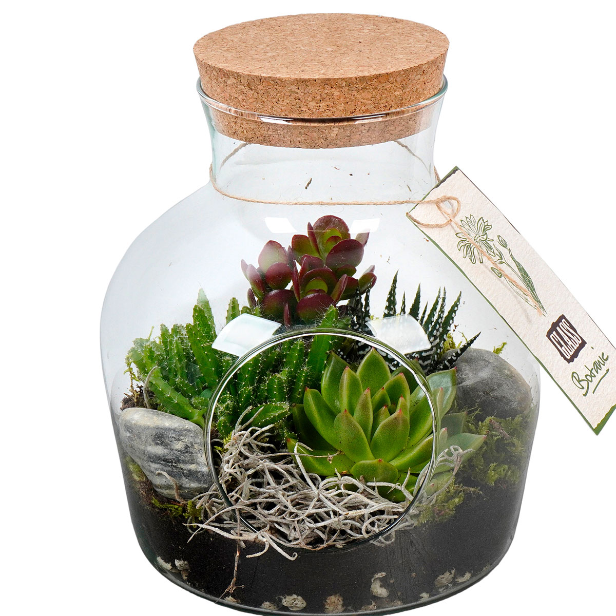 Bepflanztes Glas mit Sukkulenten T19