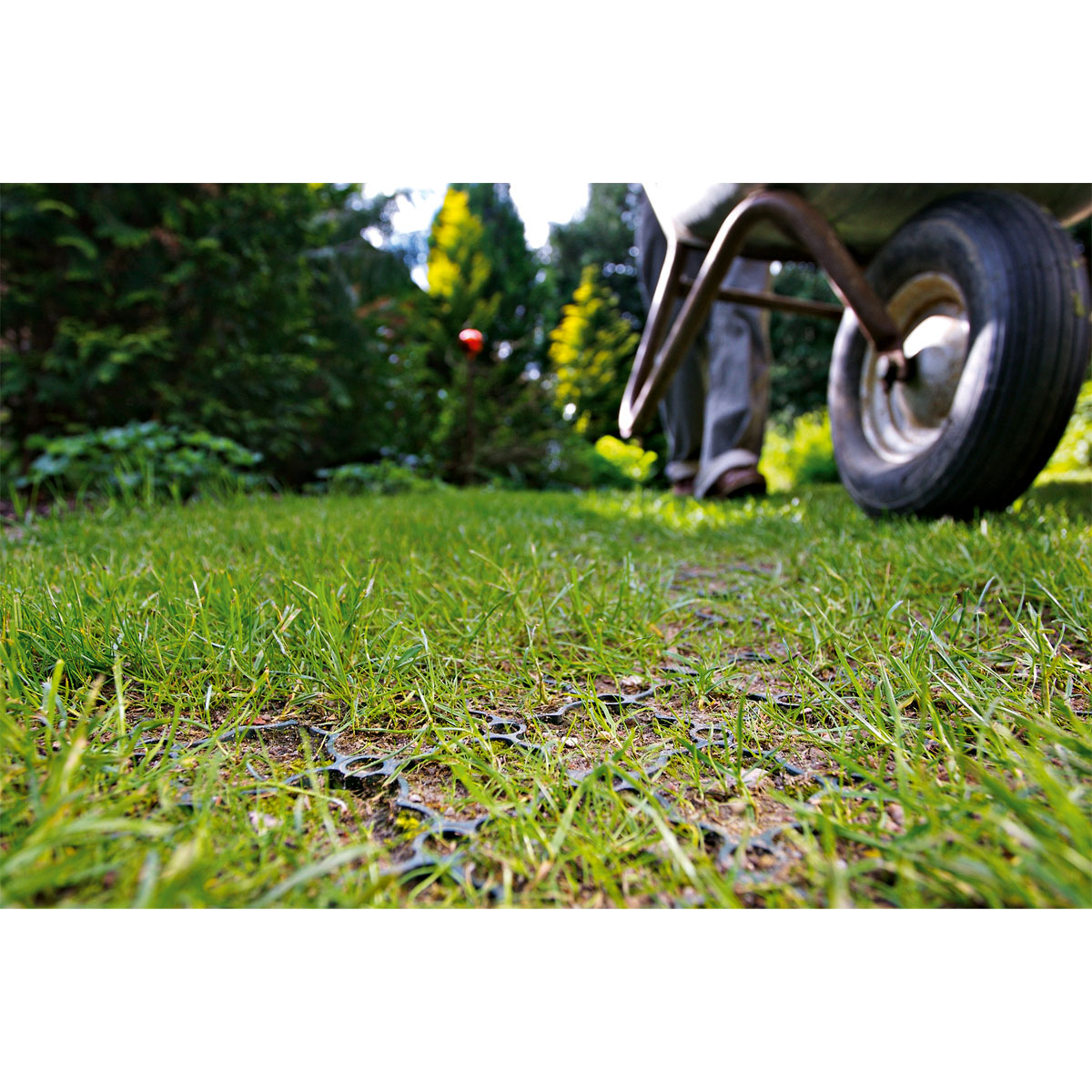 ACO Rasenwabe 586 x 386 mm grün Bild 3