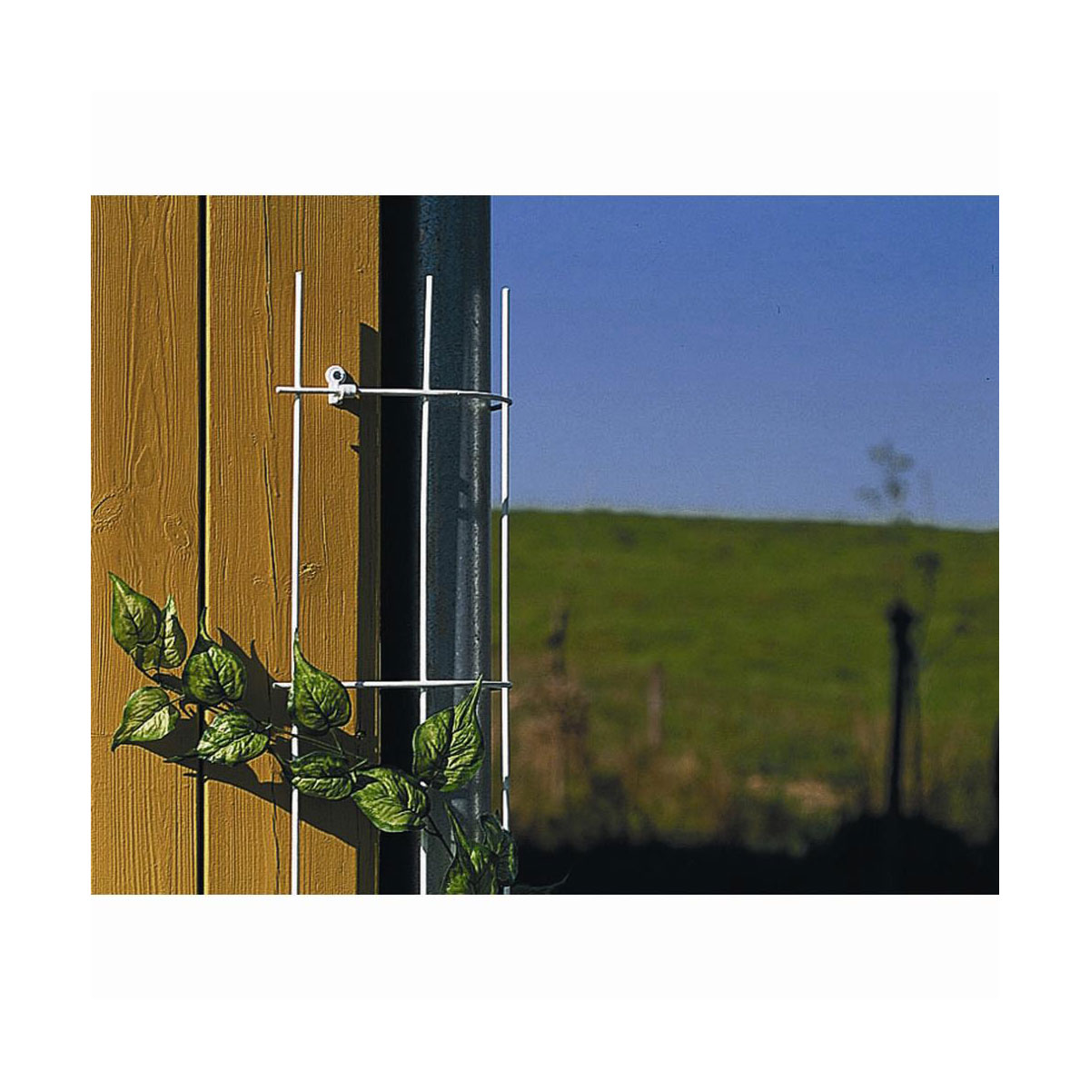 Siena Garden Fallrohrgitter 150 cm braun Siena Garden Fallrohrgitter 150 cm braun