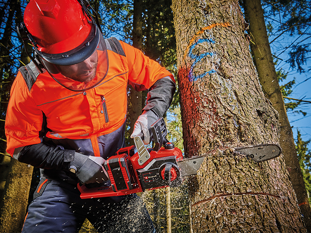 Mann mit Schutzkleidung sägt Baum mit Motorsäge