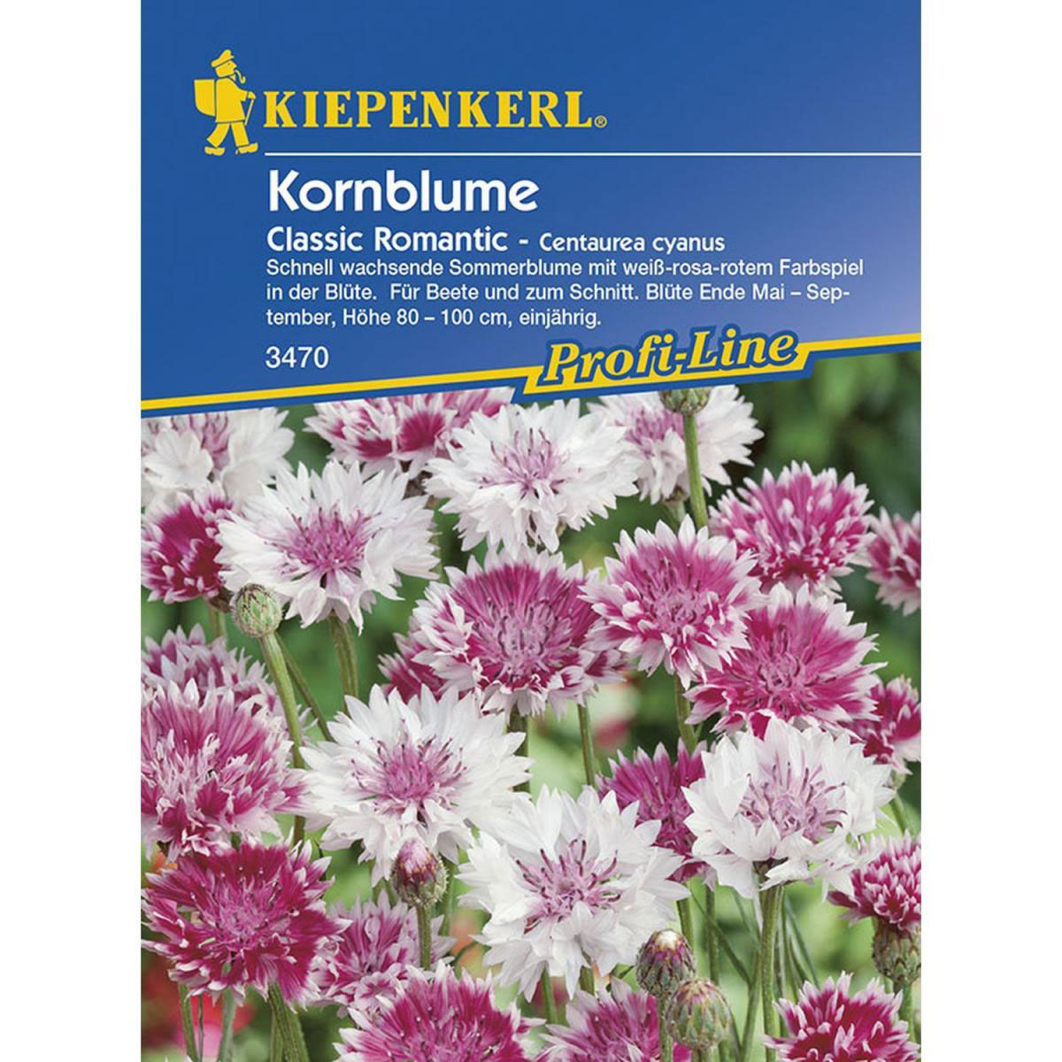 Kiepenkerl Kornblume Classic Romantic Profi-Line Bild 1