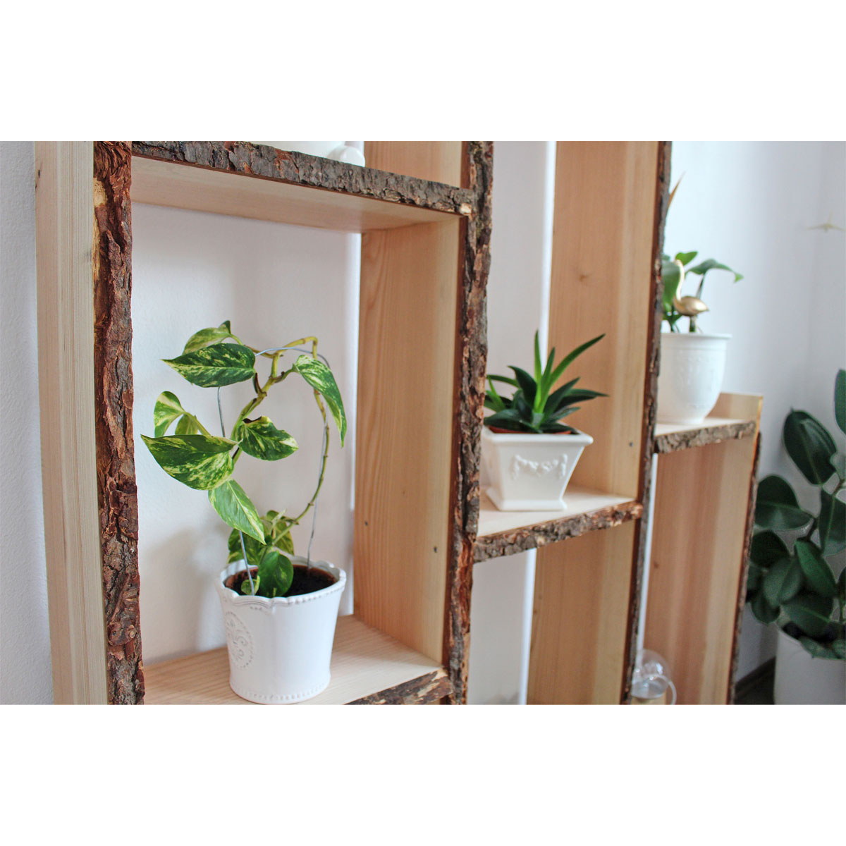 Douglasie-Massivholzbrett unbesäumt ca 200 x 20-25 cm Bild 4