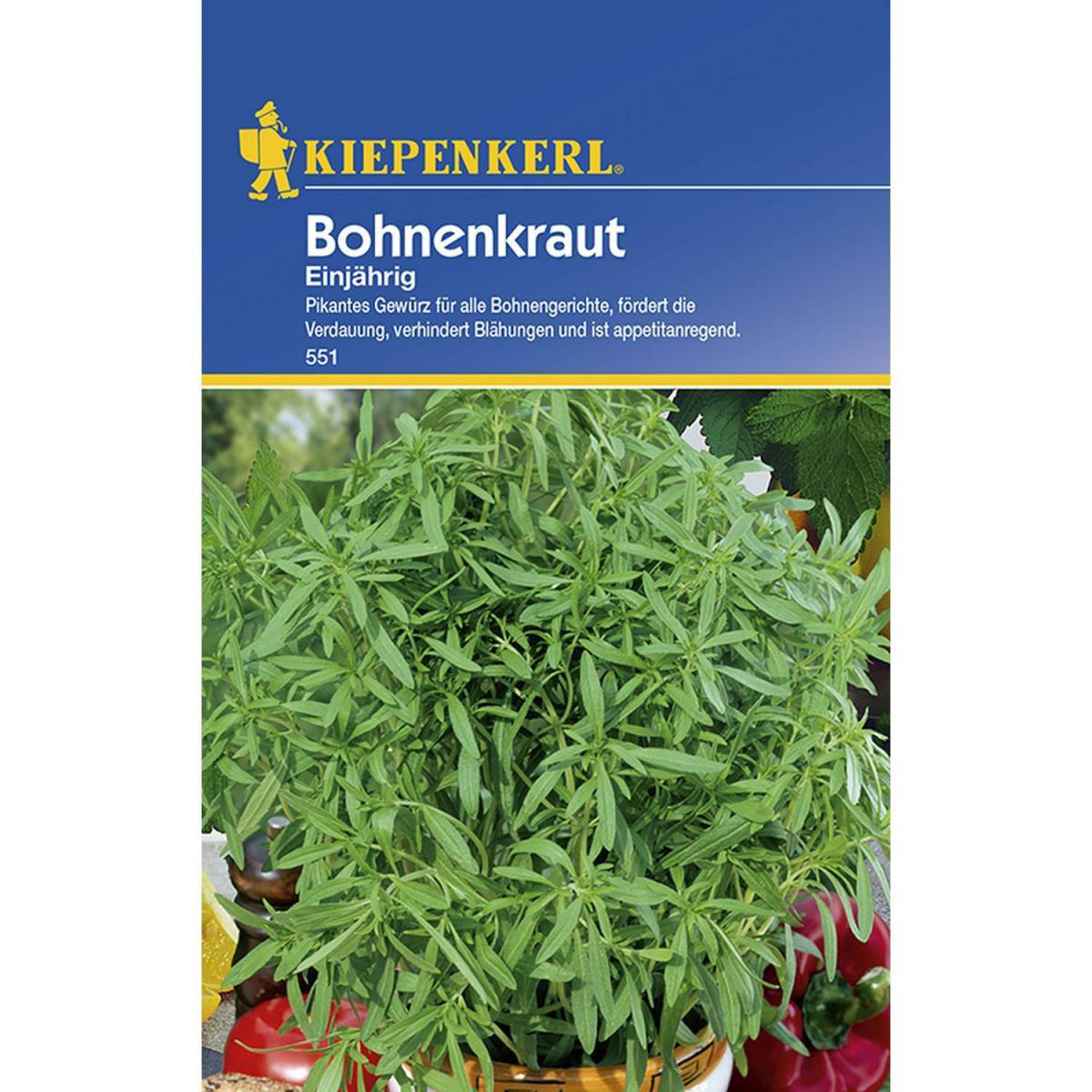 Kiepenkerl Bohnenkraut einjährig