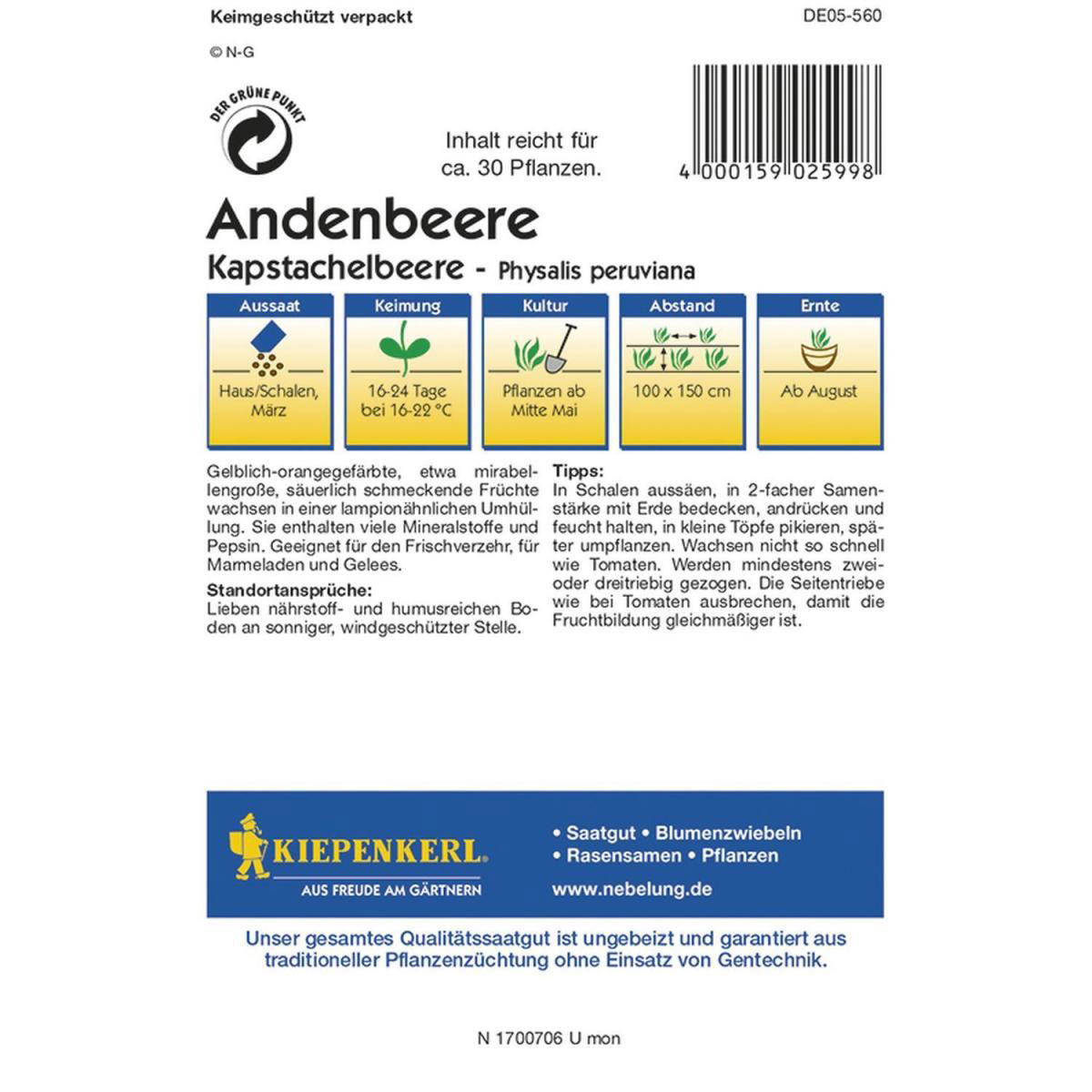 Kiepenkerl Andenbeere Kapstachelbeere Profi-Line Bild 2