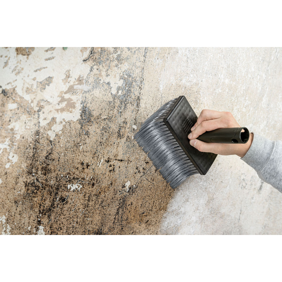 Color Expert Deckenbürste 175 x 75 mm Silverprenborste