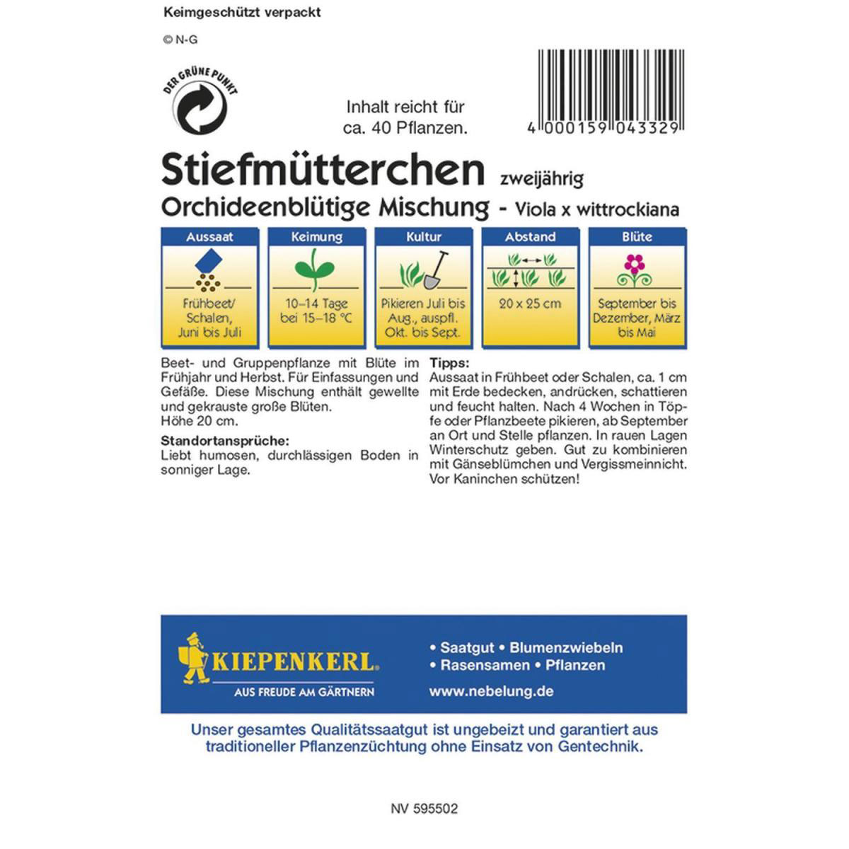 Kiepenkerl Stiefmütterchen Orchideenblütige Misch Profi-Line Bild 2