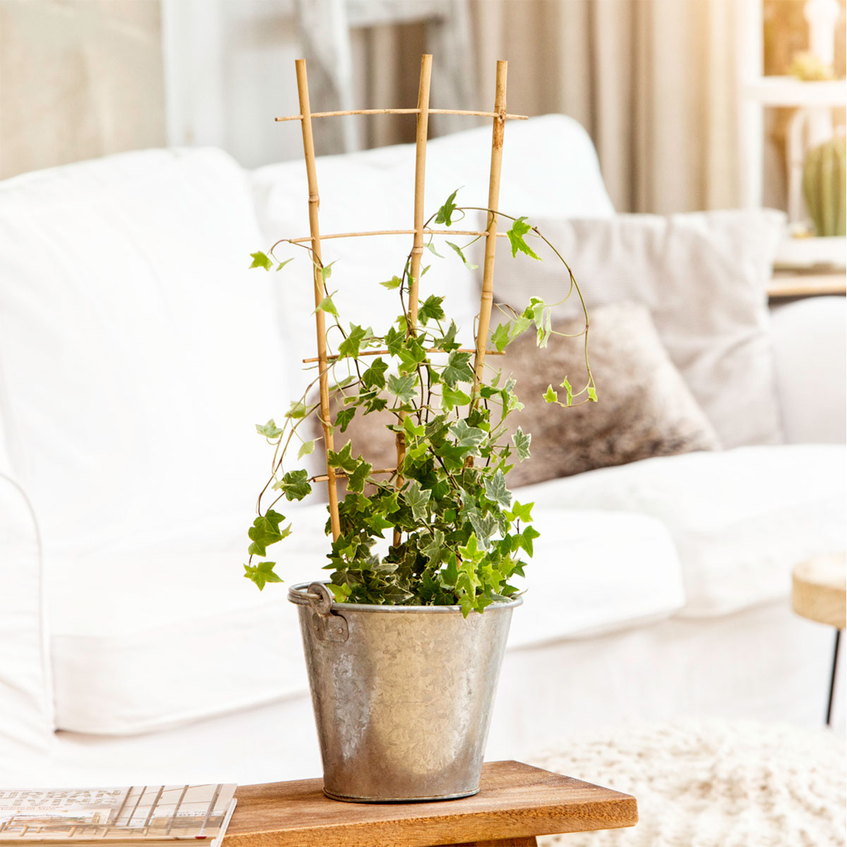 Windhager  Blumenstütze 60x30 cm Bambus