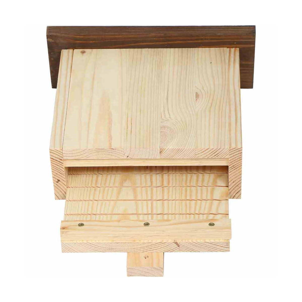 Siena Garden  Fledermaushöhle Austin Bild 2