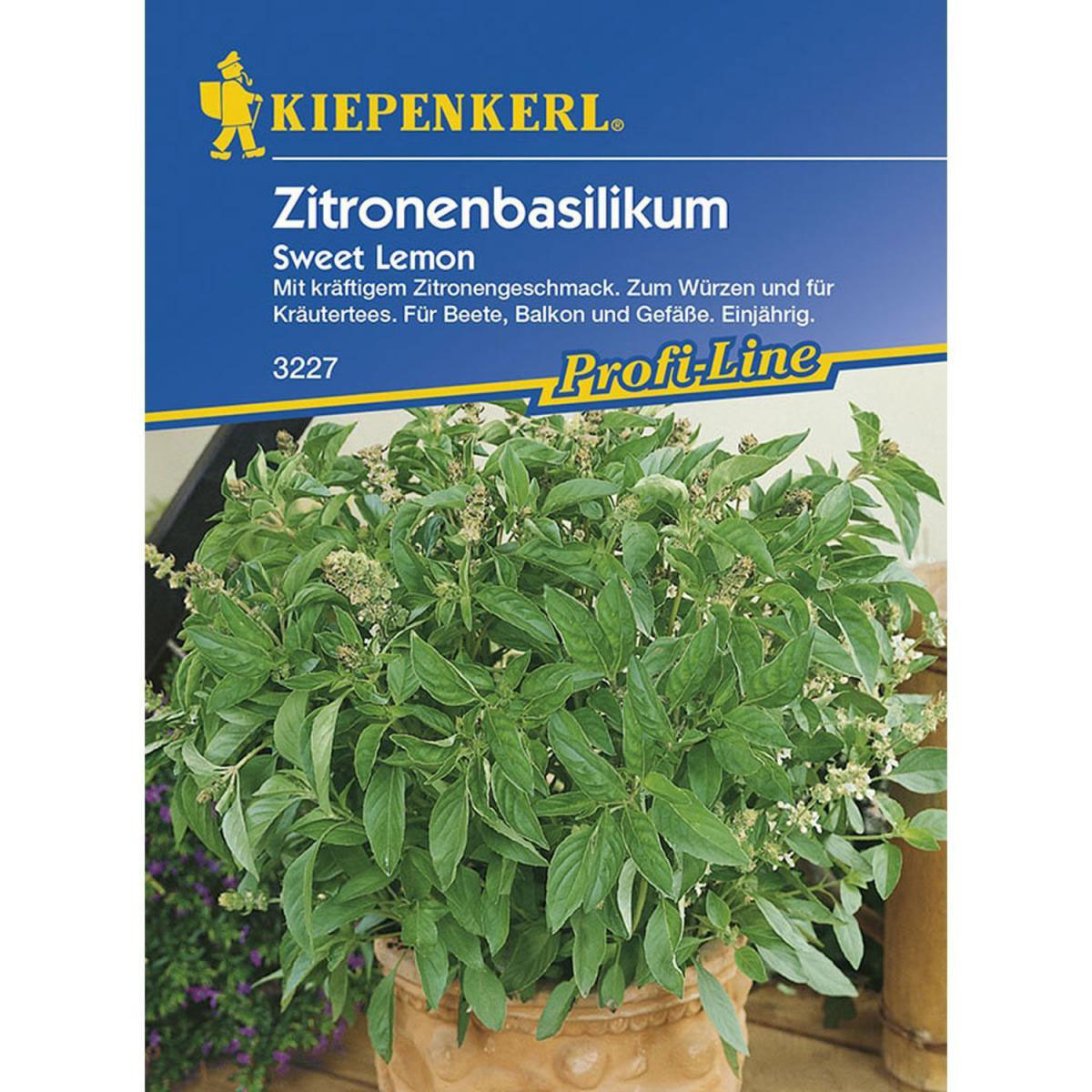 Kiepenkerl Zitronenbasilikum Sweet Lemon Profi-Line
