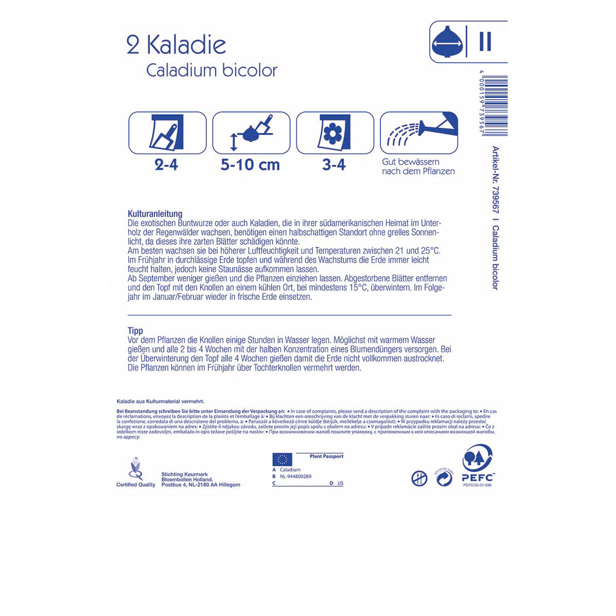 Kiepenkerl Kaladie Fanny Munson Größe 2 2 Stück Bild 2