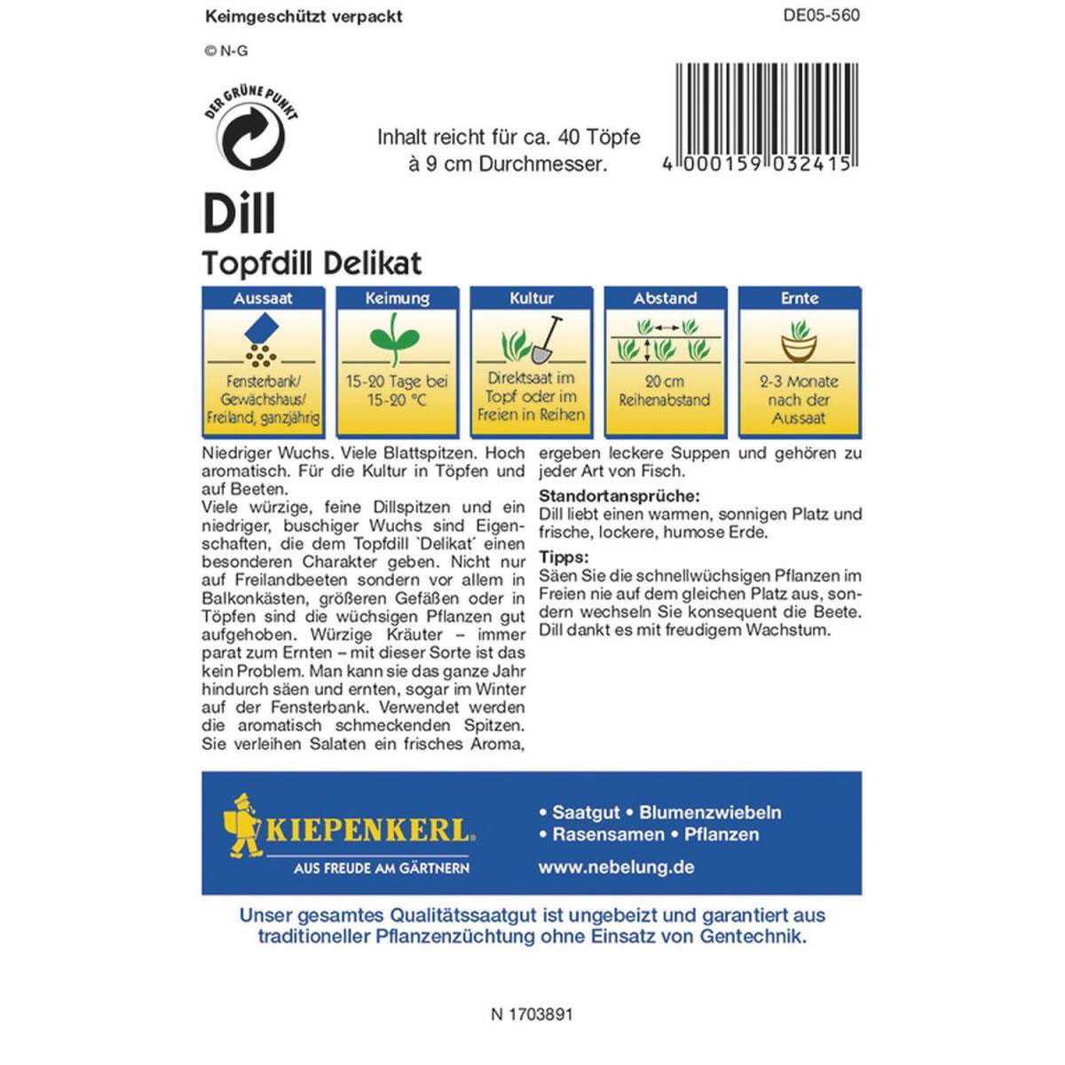 Kiepenkerl Dill Topfdill Delikat Profi-Line Bild 2