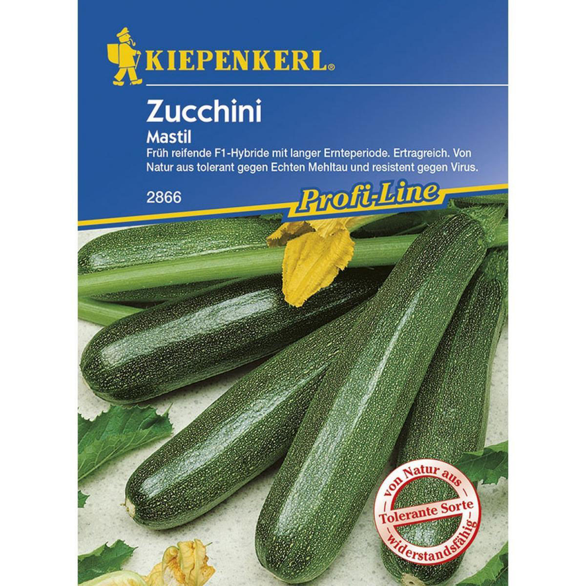 Kiepenkerl Zucchini Mastil F1 Bild 1