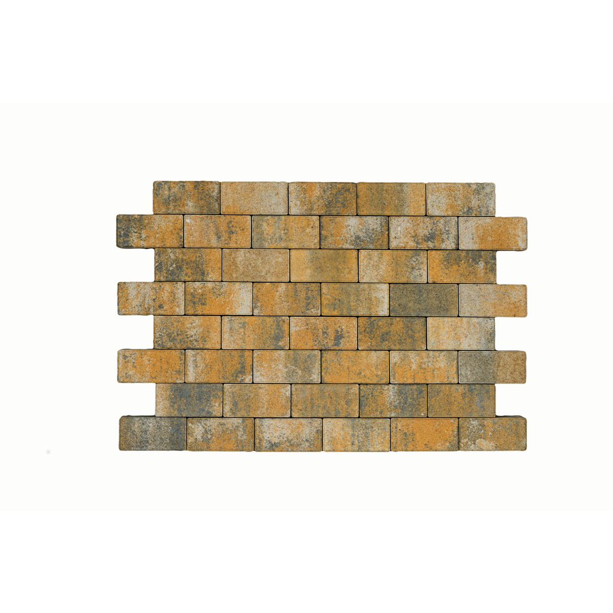 Lusit Rechteckpflastersteine 20 x 10 x 6 cm muschelkalk