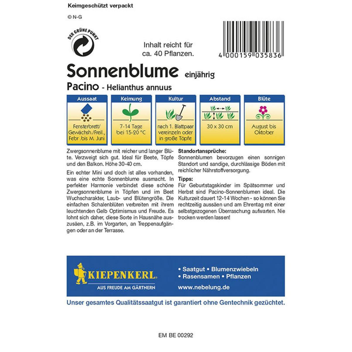 Kiepenkerl Sonnenblume Pacino Profi-Line Bild 2