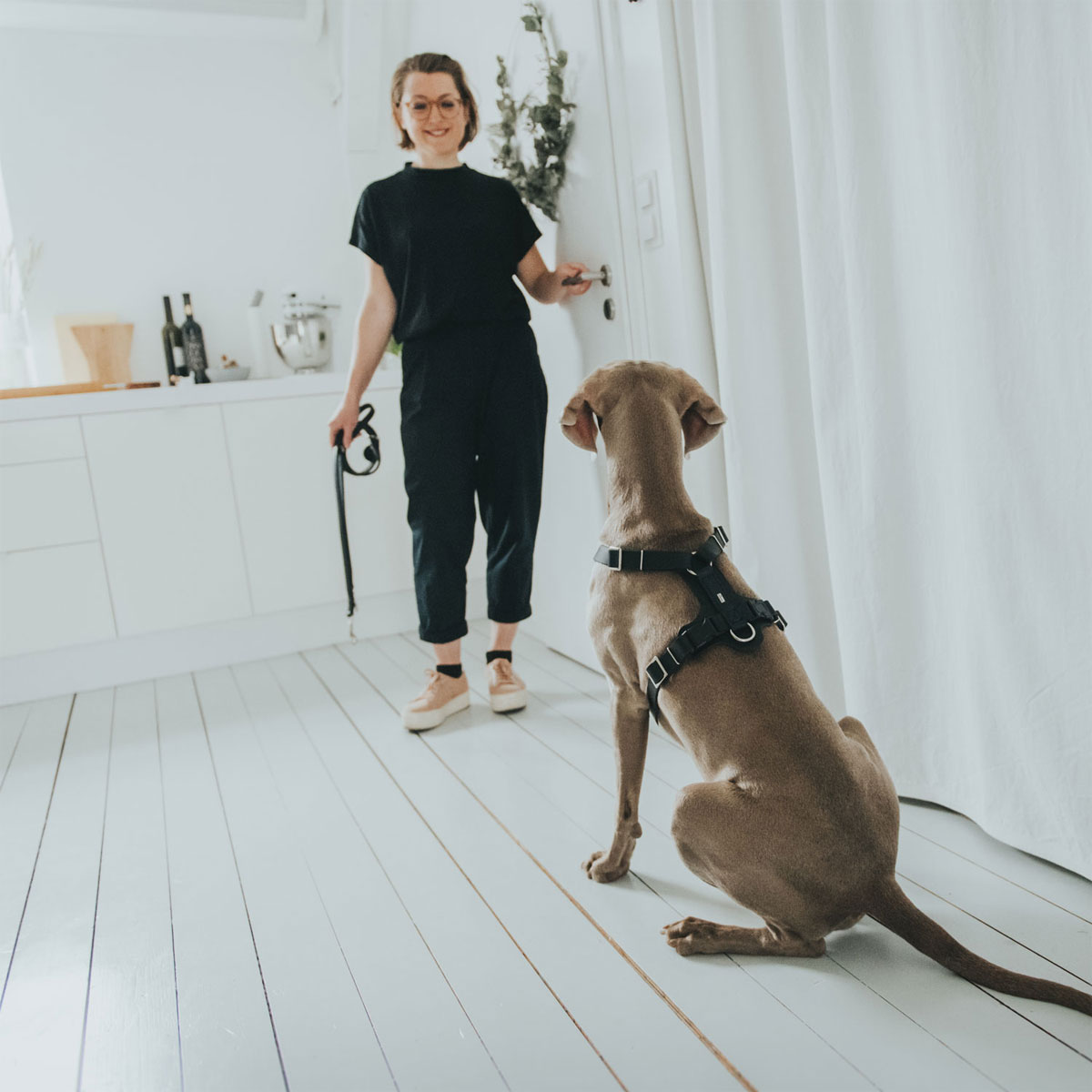 Hunter Hundegeschirr Aalborg schwarz Größe S-M Bild 3