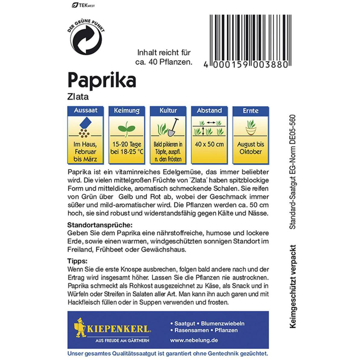 Kiepenkerl Paprika Zlata Bild 2