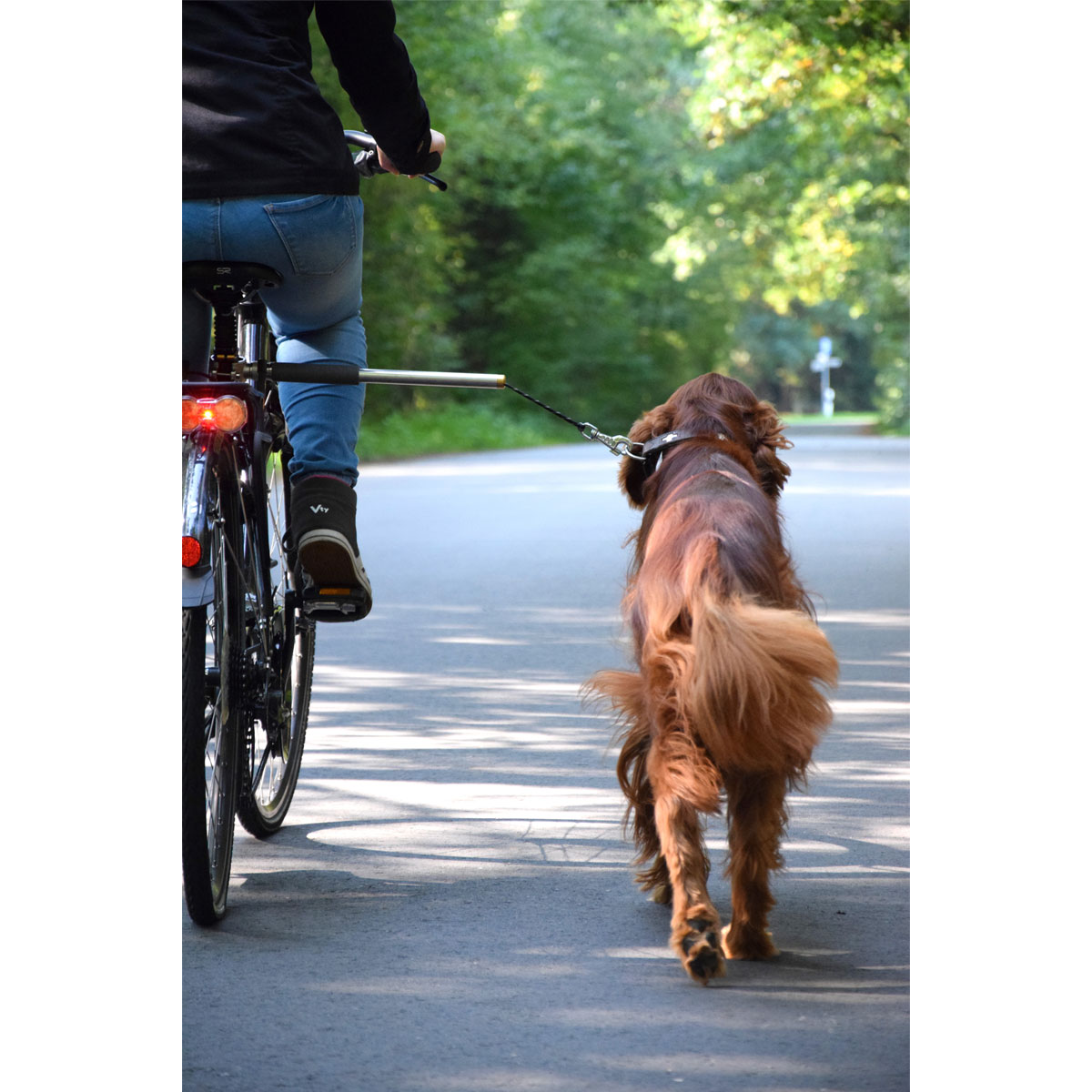 Walky dog plus bike leash new arrivals