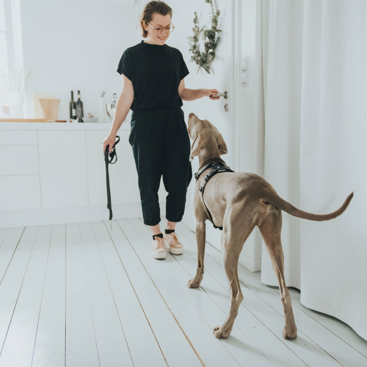 Hunter Hundegeschirr Aalborg schwarz Größe S-M Bild 5